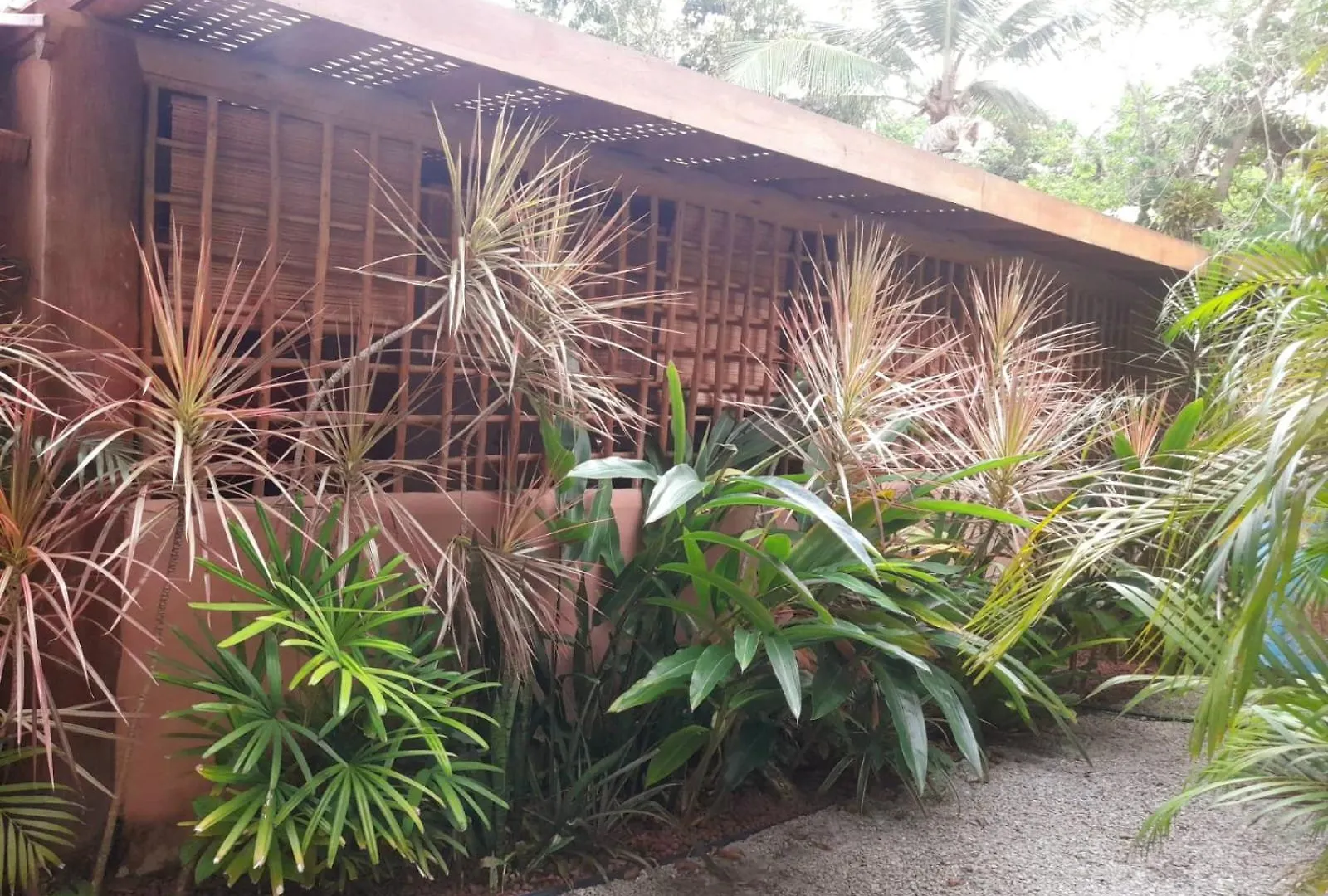 Nomade Bed and Breakfast Porto Seguro Brazilië
