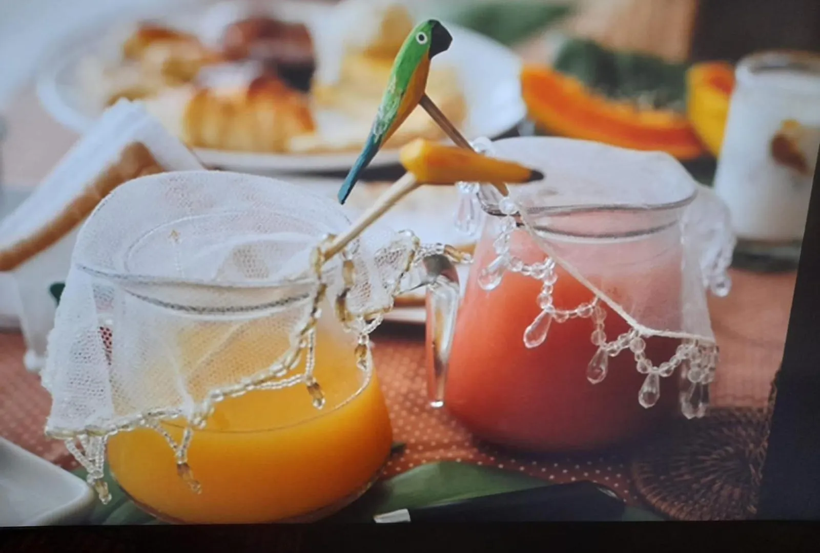 Bed and Breakfast Nomade Porto Seguro
